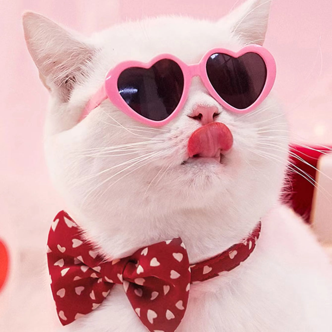 Doll sunglasses for pets na bílé kočce s růžovými srdcovými brýlemi a motýlkem.