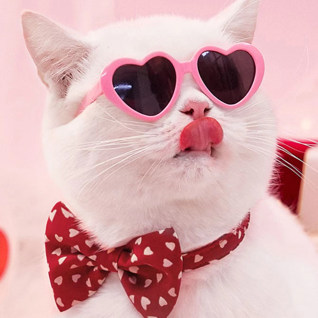 Doll sunglasses for pets na bílé kočce s růžovými srdcovými brýlemi a motýlkem.