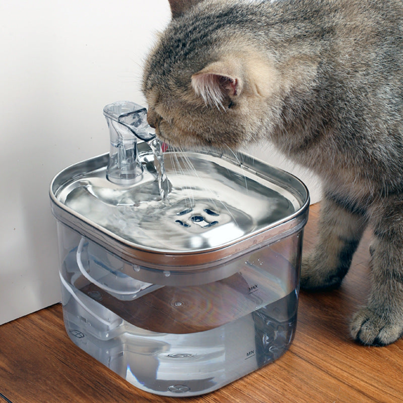 Kočka pije z automatické nerezové fontány pro domácí mazlíčky, automatic stainless steel pet water fountain.